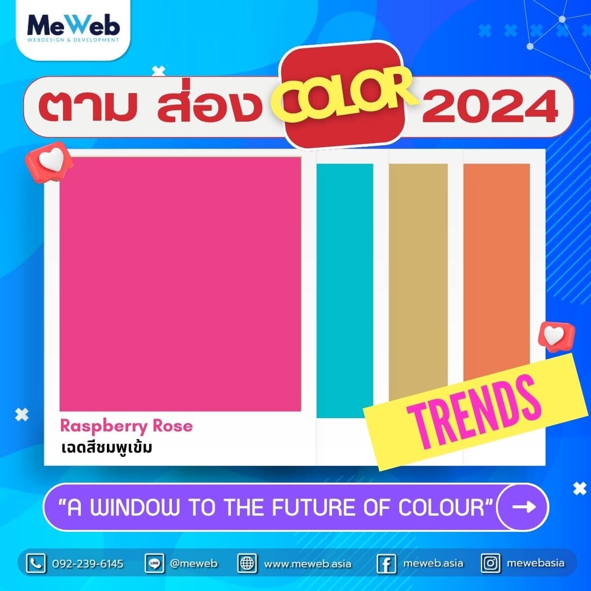โทนสี 2024.